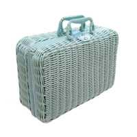 Bothyi - Imitación Canasta De Picnic Elegante Para La Maleta Para El Ratán Campamento De Artículos Exteriores L