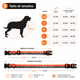 thumbnail image 2 of Collar Para Perros Diseño Aventurero, 2 of 3