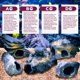 thumbnail image 3 of Set de 5 Piedras de Cíclido Dr. Miracle's para Acuario, 3 of 8