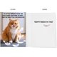 thumbnail image 2 of Tarjeta CardFool de cumpleaños con gato divertido, 5 x 7, 2 of 3