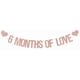 thumbnail image 1 of Banner BOMXOI 6 Meses de Amor Rosa Dorado con Brillo, 1 of 7