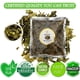 thumbnail image 3 of Hojas de Higuera Orgánicas Certificadas Cure wid Pure 56g Té Herbal, 3 of 7