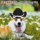thumbnail image 5 of Sombrero de Vaquero para Perro Uxcell, Mini Sombrero de Vaquero para Mascota con Correa de Barbilla Ajustable, Gorra de Cosplay con Decoración de Cuerda de Algodón, (Marrón, M), Para Perros y Gatos, 5 of 7