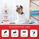 thumbnail image 4 of Acondicionador para mascotas Warren London, mantequilla hidratante, 240 ml, para perros, 4 of 8