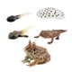 thumbnail image 1 of Montessori Frogs Life Cycle Model Animals Juego Cognitivo Para Niños Proyecto Estilo C, 1 of 5