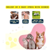 thumbnail image 2 of Pet Skin Soothing Spray Cuidado Para La Piel Perros Y Gatos 50ml, 2 of 11