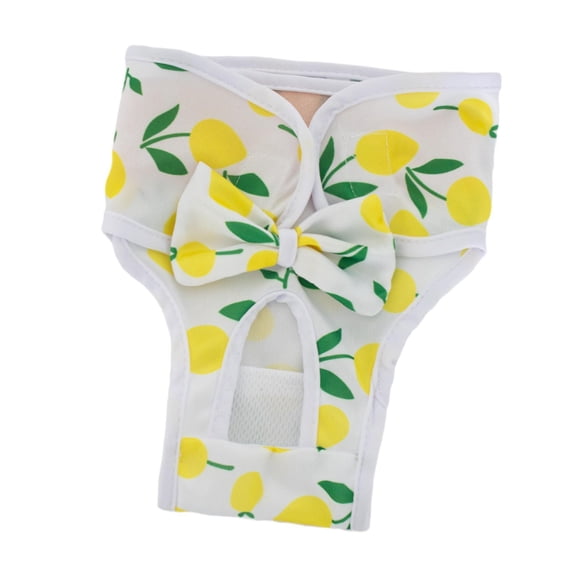 Pañales Para Perros Hembra, Elegantes, Flexibles, Reutilizables, Para Entrenamiento Para Ir Al Baño, Muy Absorbentes, Talla M