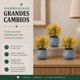 thumbnail image 2 of Set 3 Plantas Artificiales Flores Velo de Novia Decoracion amarillo, 2 of 6