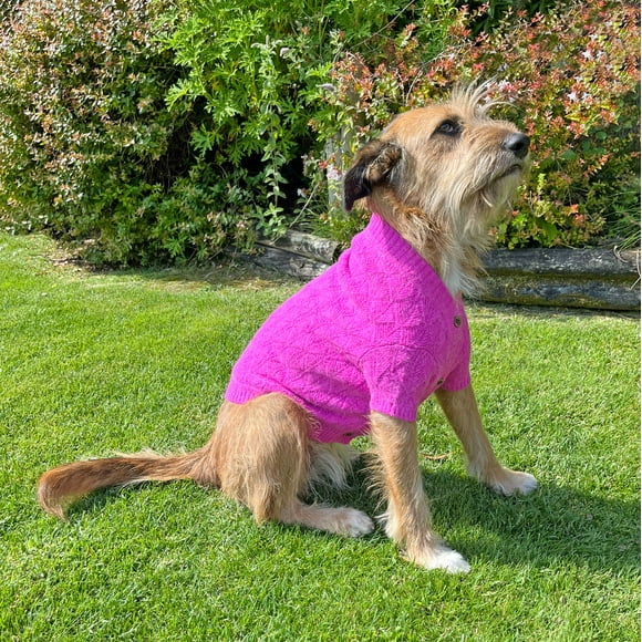 Chaleco para perro color rosado