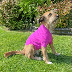 Domestico - Chaleco Para Perro Color Rosado Talla M