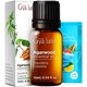 thumbnail image 1 of Aceite esencial de agarwood Gya Labs 10 ml para aromaterapia, 1 of 6