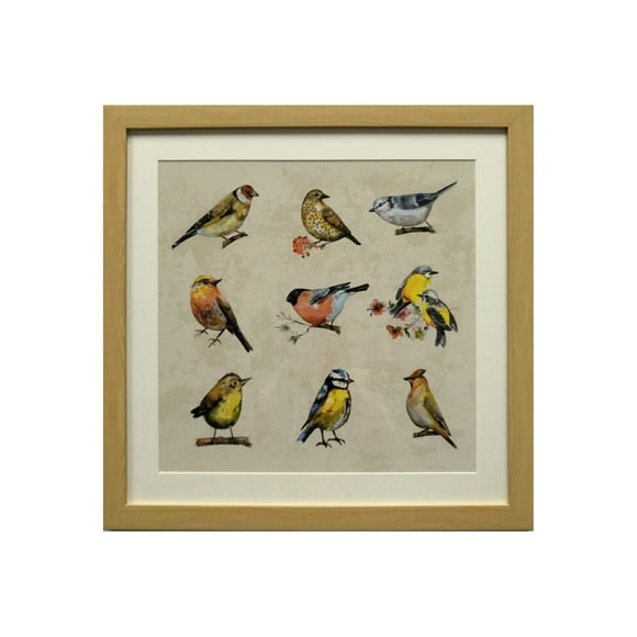 Cuadro Lamina Conjunto Pájaros 50x50 cm