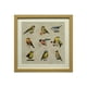 thumbnail image 1 of Cuadro Lamina Conjunto Pájaros 50x50 cm, 1 of 3