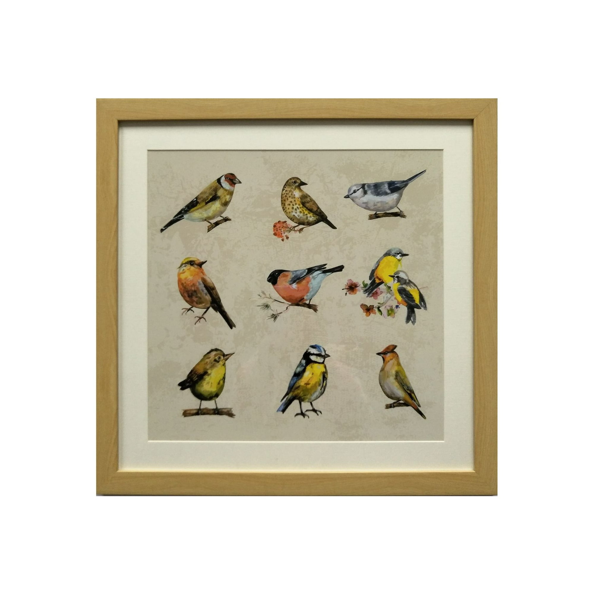 Ronda - Cuadro Lamina Conjunto Pájaros 50x50 Cm