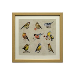 Ronda - Cuadro Lamina Conjunto Pájaros 50X50 Cm