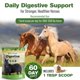 thumbnail image 5 of Suplemento Digestivo para Caballos Silver Lining Herbs 454 g, 5 of 9