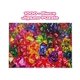 thumbnail image 2 of Rompecabezas Toynk Dice, Dice, Baby! ¡1000 piezas para adultos, 2 of 6