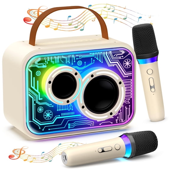 Máquina de karaoke HWWR D30T con 2 micrófonos inalámbricos