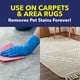 thumbnail image 3 of Removedor Manchas y Olores Mascotas OxiClean 709ml Alfombra, 3 of 3