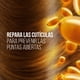 thumbnail image 3 of Pantene Sh Restauracion 200Mlx12It, 3 of 7