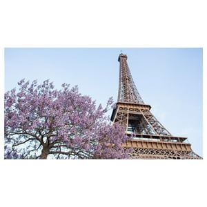 Ronda - Canvas Ciudades Torre Eiffel 40X70 Cm