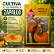 thumbnail image 5 of Semillas de Zapallo Muscat de Guarda – Las Encinas, 5 of 5