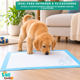 thumbnail image 3 of 40 Pañales Sabanillas Entrenamiento Absorbentes Mascota Perros 60x60cm, 3 of 7