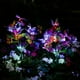 thumbnail image 5 of Set 2 Luces Solares Jardin Decorativas Mariposas Multicolor, 5 of 7