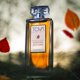 thumbnail image 3 of Perfume Tova Signature Autumn Eau de Parfum para mujer, 100 ml, 3 of 5