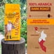 thumbnail image 5 of Café Mayorga Café Cubano Roast, grano entero, tostado oscuro, 2 kg, 5 of 8