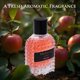 thumbnail image 4 of Perfume NovoGlow Valencia UOMO Fantasy EDP 100 ml para hombre, 4 of 8