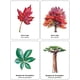 thumbnail image 2 of Juego De Memoria - Encuentra La Hoja, 2 of 7
