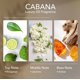 thumbnail image 3 of Aceite de Fragancia Aromify 200 ml Bergamota Jazmín Ámbar, 3 of 5