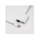 thumbnail image 2 of Adaptador Tipo-c A Rj45 Lan Gigabit Ethernet 10/100/1000mbps, 2 of 2