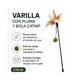 thumbnail image 5 of Varilla Pluma Y Bola Catnip Para Gato 50 Cm, 5 of 10