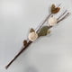 thumbnail image 1 of Ramo varas mix flores preservado crema 90 cm, 1 of 6