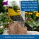 thumbnail image 3 of Pluviómetro decorativo Goldfinch de resina para exterior 13 cm, 3 of 6