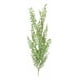 thumbnail image 1 of Set 2 Planta Artificial Decorativa Helecho Enredadera Jhn, 1 of 3