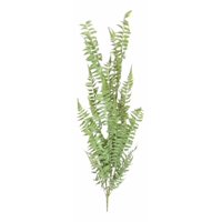 Genérico - Set 2 Planta Artificial Decorativa Helecho Enredadera Jhn