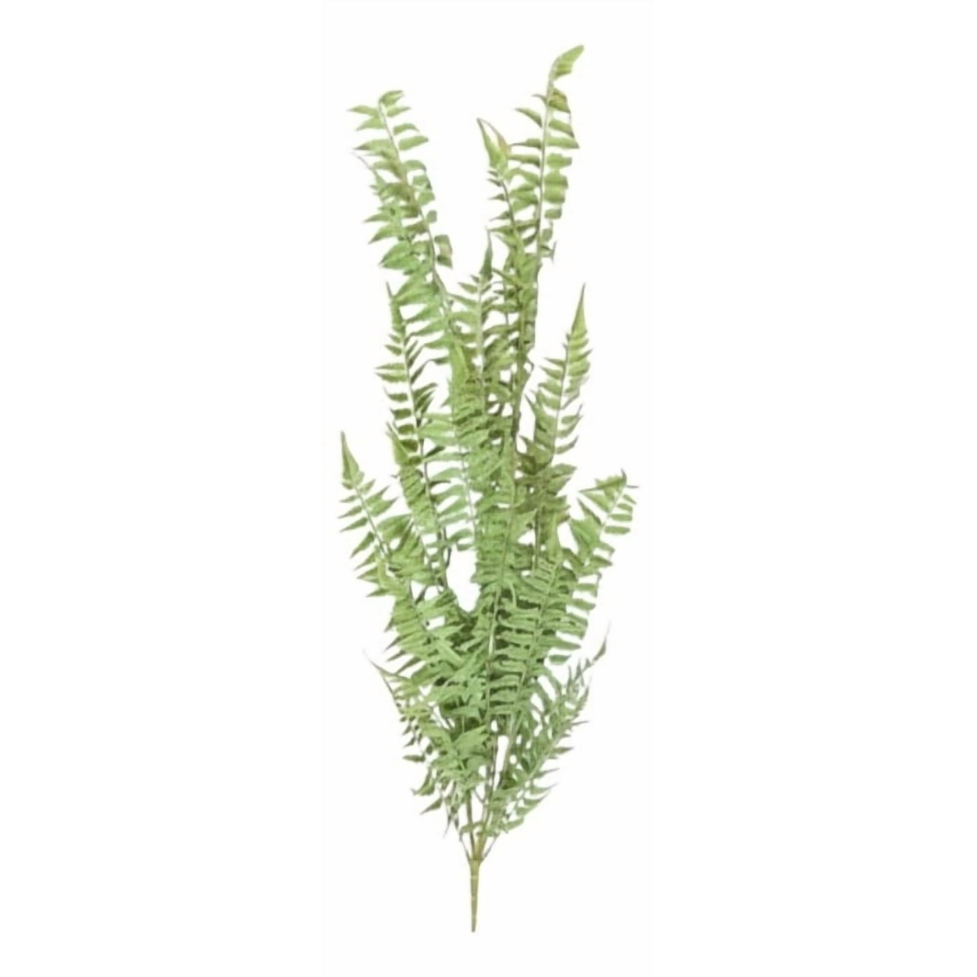 Genérico - Set 2 Planta Artificial Decorativa Helecho Enredadera Jhn