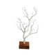 thumbnail image 1 of Soporte Para árbol De Joyería, Organizador De Exhibición, Soporte Para Pendientes Y Anillo, Estante Para Uso Doméstico, Nuevo, 1 of 2