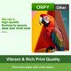 thumbnail image 5 of Cartuchos de tinta CRIPY 63XL combo pack negro y color 2 piezas, 5 of 6