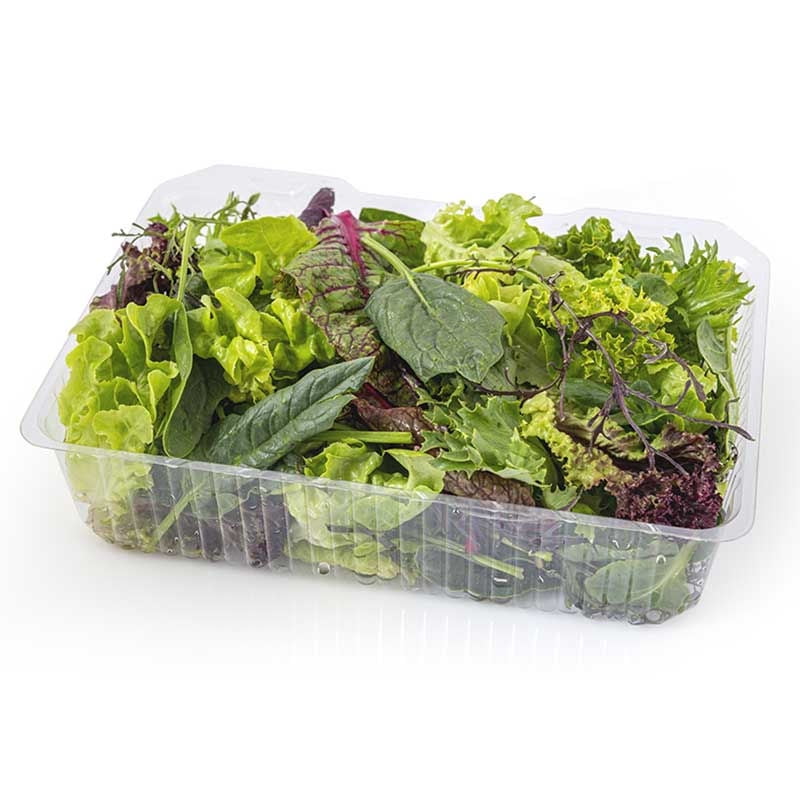 Ensalada Asian Mix Orgánico 150 gr