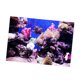 thumbnail image 4 of Pecera Acuario Pegatina Adhesivo 3D Cartel Decoración Fondo 61x41cm, 4 of 5