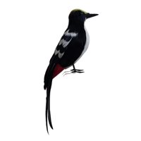 Ioensy - Simulación De Pájaro Carpintero, Película De Pájaro, Escena Artística, Modelo De Adorno Para Patio, Hogar, Estilo D