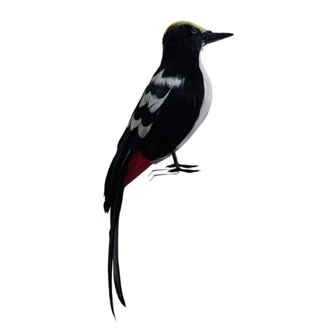 Ioensy - Simulación De Pájaro Carpintero, Película De Pájaro, Escena Artística, Modelo De Adorno Para Patio, Hogar, Estilo D