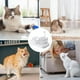 thumbnail image 3 of Dispensador Bebedero Agua Automatico Para Gatos y Perros, 3 of 4