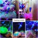 thumbnail image 3 of Jeringa Coral Feeder con pinzas para Aquarium Choice, 2 unidades, 3 of 7