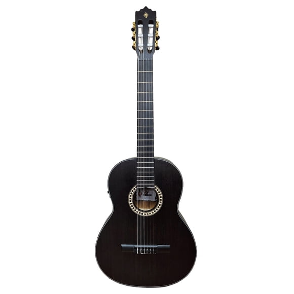 Guitarra Electroacustica PALMER PC-17EQ TBK