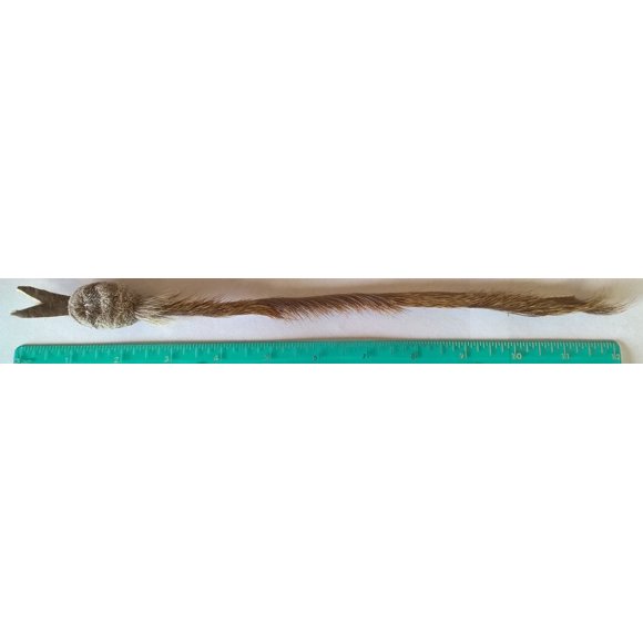 Juguete para gato CoolCyberCats serpiente de 30 cm (recambio/accesorio)